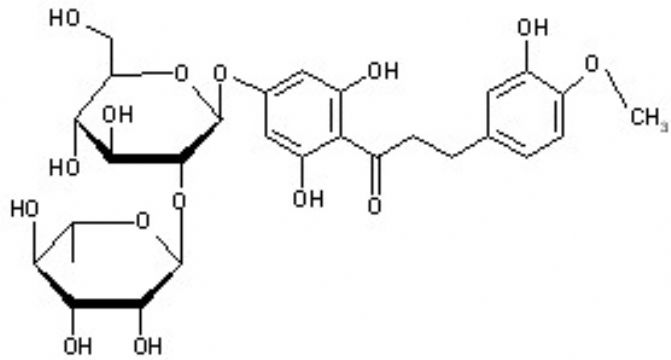 Citrus Aurantium P.E